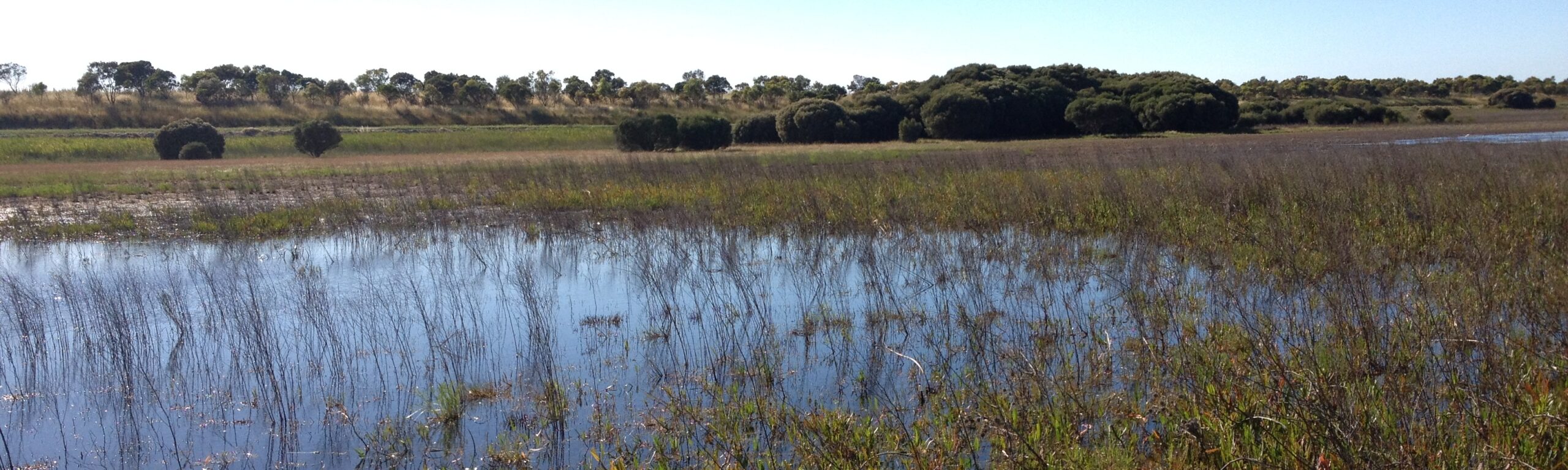 Vom Murray River nach Naracoorte und ein paar Missverständnisse