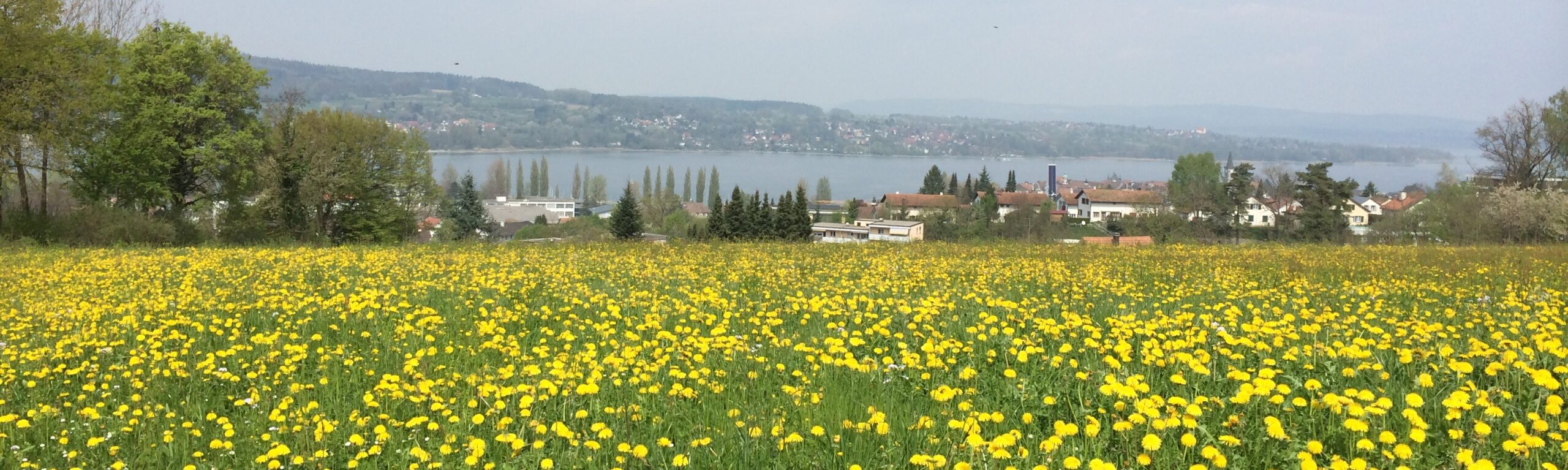 3. Eine ungeplante Ostergeschichte – Zu Fuss von Steckborn nach Stein am Rhein