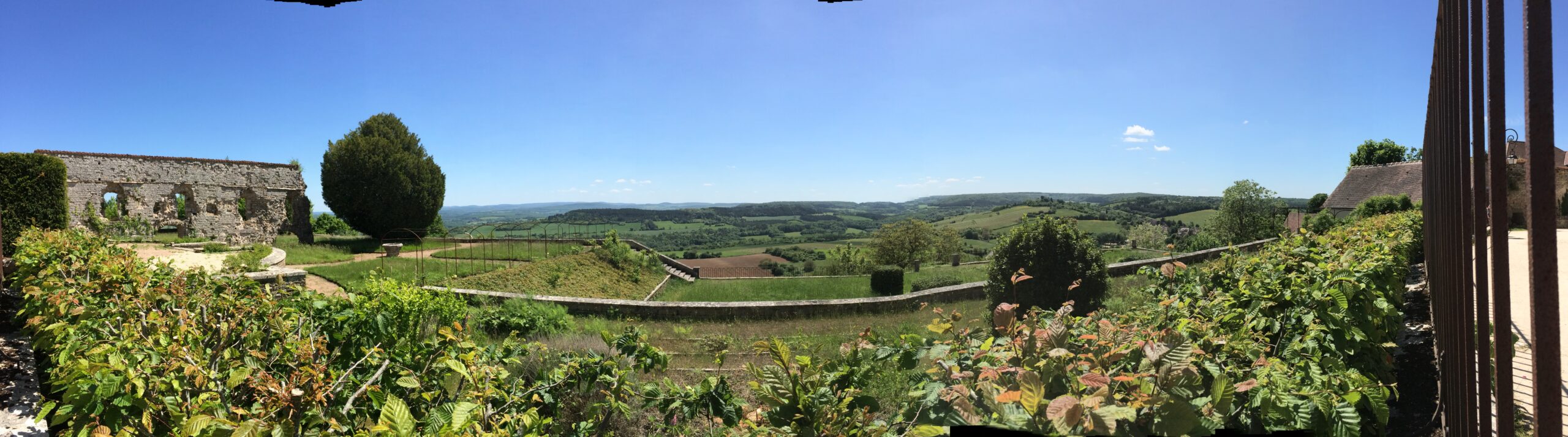 Ein paar Tage bei den Charolais Kühen im Burgund