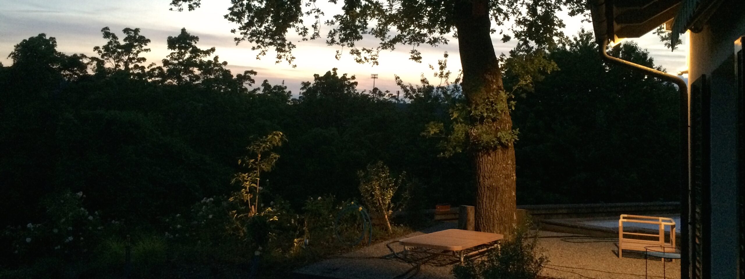 Regennacht