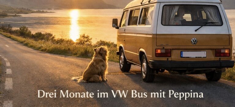 Nordwärts – fünfmal bereit, sechsmal los